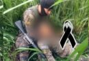 El joven cabo no dejó ni un segundo a su soldado, hasta entregarlo a camilleros. El joven cabo no dejó ni un segundo a su soldado, hasta entregarlo a camilleros.